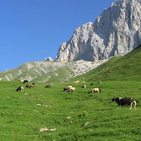 Hotel Tirolerhof Leutasch