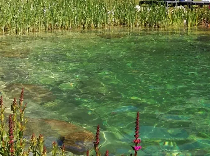 Ξενοδοχείο Tirolerhof 3*