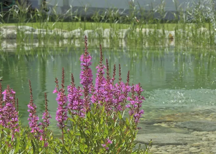 Ξενοδοχείο Tirolerhof